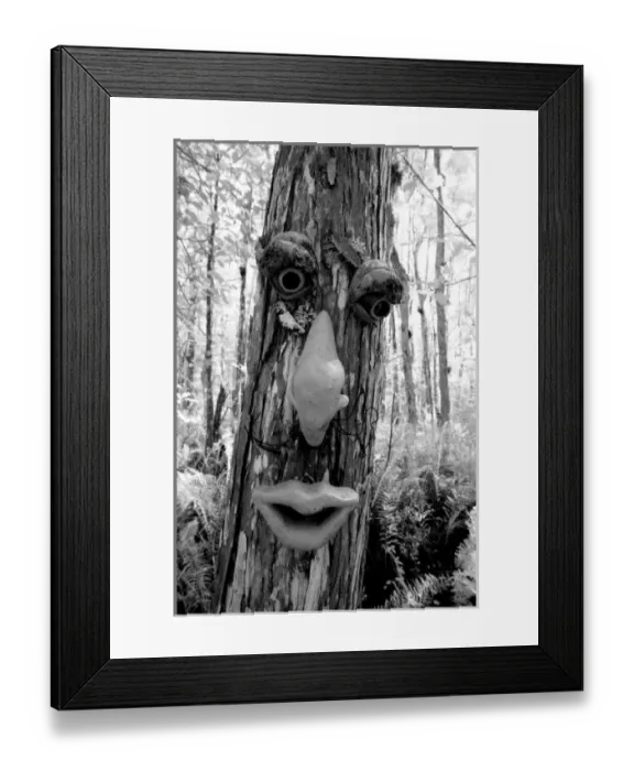 Framed Print : Tree, troll, Infrared, Black & White Framed Print : Tree, troll, Infrared, Black & White