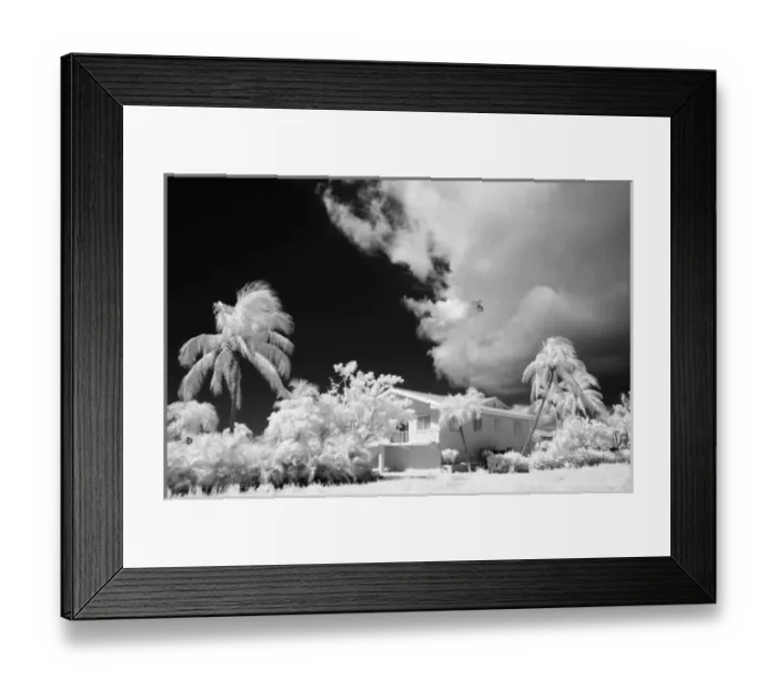 Framed Print : Florida Keys house and its palm trees, USA Framed Print : Florida Keys house and its palm trees, USA