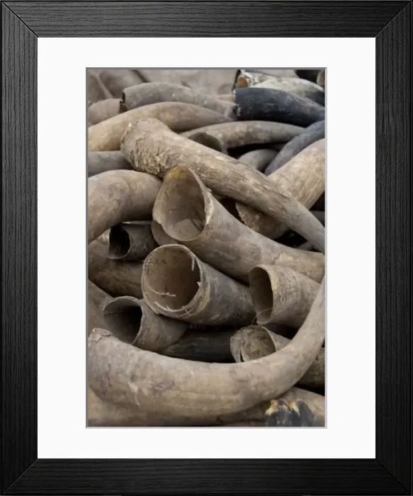 Framed Print : Africa, Togo. Lome