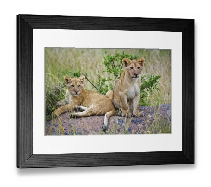 Framed Print : Africa, Kenya Framed Print : Africa, Kenya