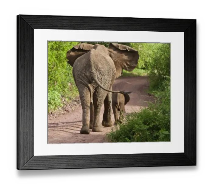 Framed Print : Africa. Tanzania Framed Print : Africa. Tanzania