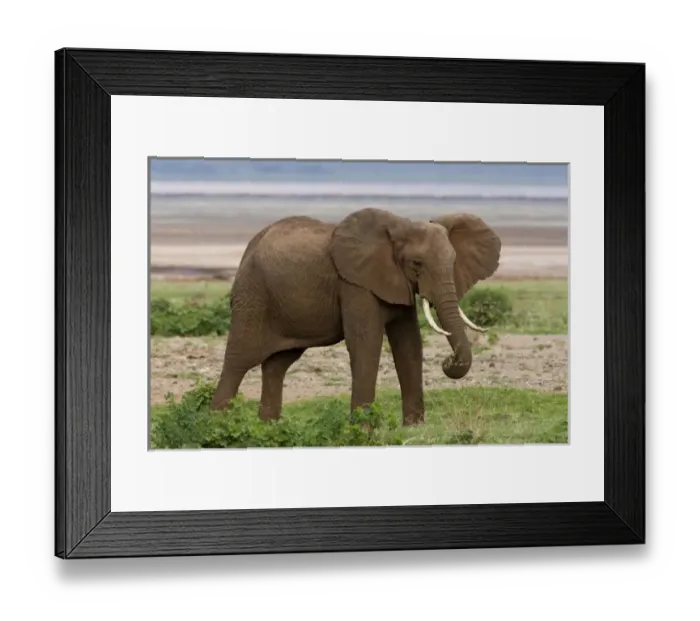 Framed Print : Africa, Tanzania Framed Print : Africa, Tanzania
