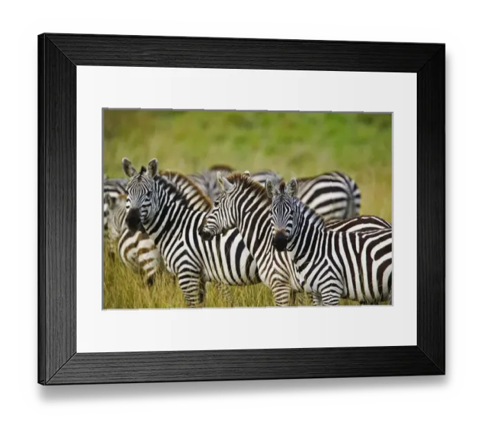 Framed Print : Africa, Kenya Framed Print : Africa, Kenya