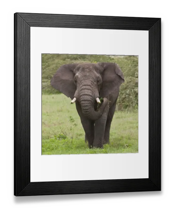 Framed Print : Africa, Tanzania