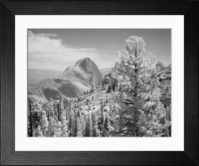 Framed Print : Infrared photo in East side of Yosemite National Park, California Framed Print : Infrared photo in East side of Yosemite National Park, California