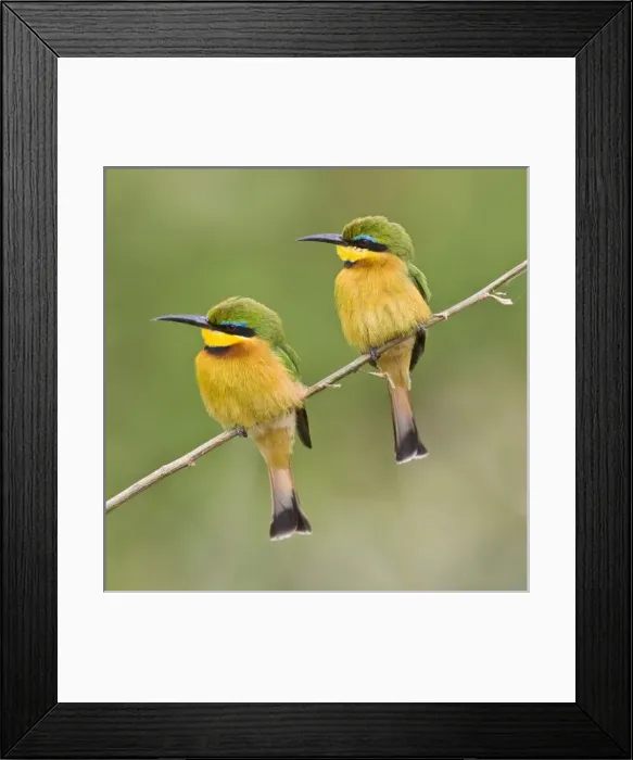 Framed Print : Africa, Tanzania Framed Print : Africa, Tanzania