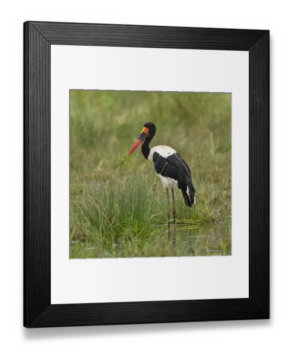Framed Print : Africa. Tanzania Framed Print : Africa. Tanzania
