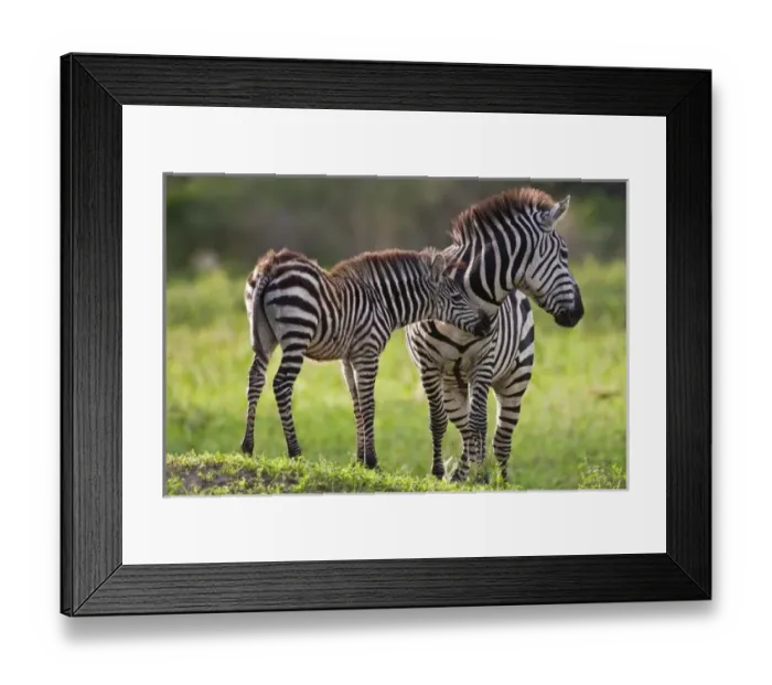 Framed Print : Africa, Tanzania Framed Print : Africa, Tanzania
