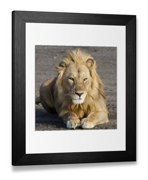 Framed Print : Africa, Tanzania Framed Print : Africa, Tanzania