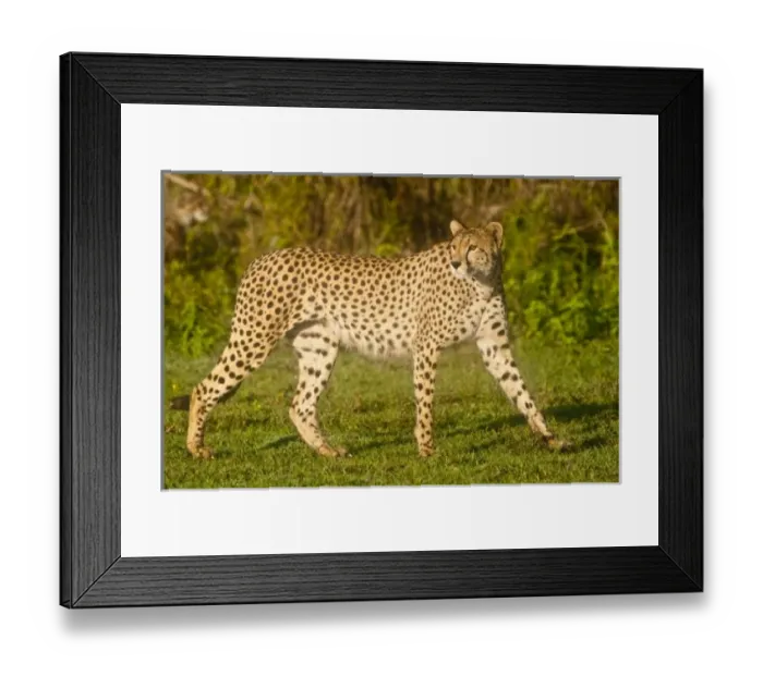 Framed Print : Africa, Tanzania