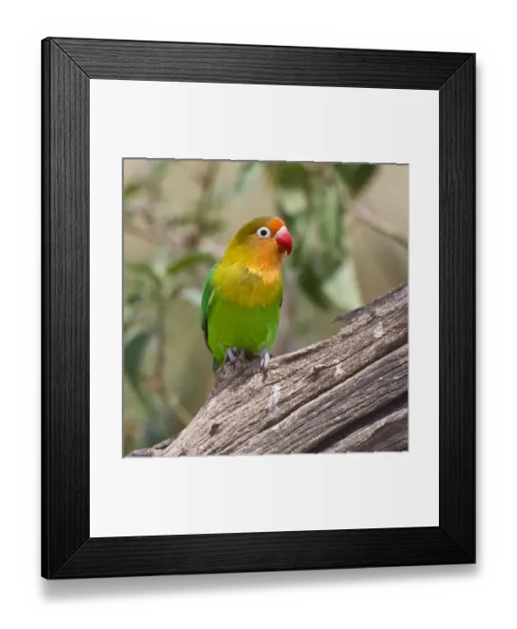 Framed Print : Africa, Tanzania