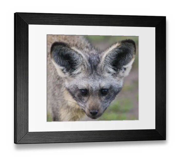 Framed Print : Africa, Tanzania Framed Print : Africa, Tanzania