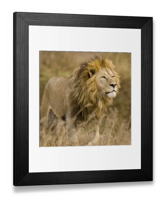 Framed Print : Africa, Tanzania Framed Print : Africa, Tanzania