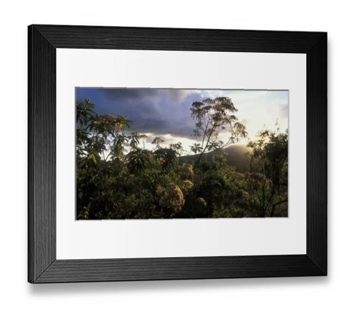 Framed Print : Africa, Tanzania, Ngorongoro Conservation Area, Setting sun lights rainforest lining Framed Print : Africa, Tanzania, Ngorongoro Conservation Area, Setting sun lights rainforest lining