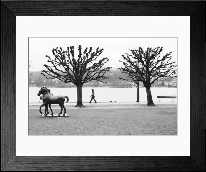 Framed Print : Europe, Switzerland, Lucerne. Lake Lucerne