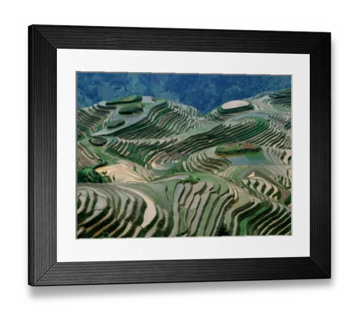 Framed Print : Landscape of rice terraces in the mountain, Longji, Guangxi Province, China Framed Print : Landscape of rice terraces in the mountain, Longji, Guangxi Province, China