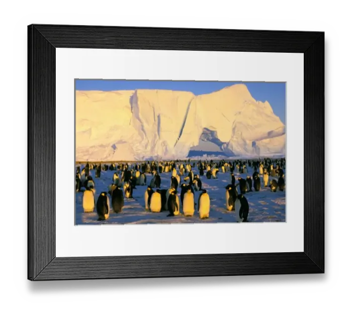 Framed Print : Antarctica, Antarctic Framed Print : Antarctica, Antarctic