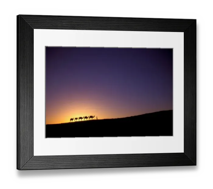Framed Print : Silhouette of camel caravan on the desert at dawn, Dunhuang, Gansu Province, Silk Road Framed Print : Silhouette of camel caravan on the desert at dawn, Dunhuang, Gansu Province, Silk Road