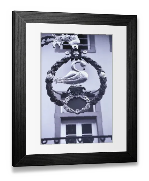 Framed Print : Europe, Germany, Baden, Wurttemberg, Heidelberg. Golden Goose Sign Framed Print : Europe, Germany, Baden, Wurttemberg, Heidelberg. Golden Goose Sign