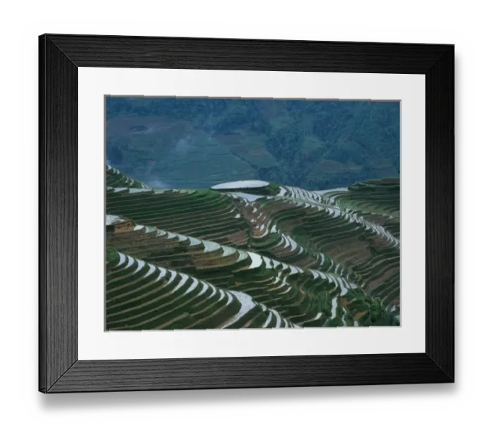 Framed Print : Landscape of rice terraces in the mountain, Longji, Guangxi Province, China Framed Print : Landscape of rice terraces in the mountain, Longji, Guangxi Province, China
