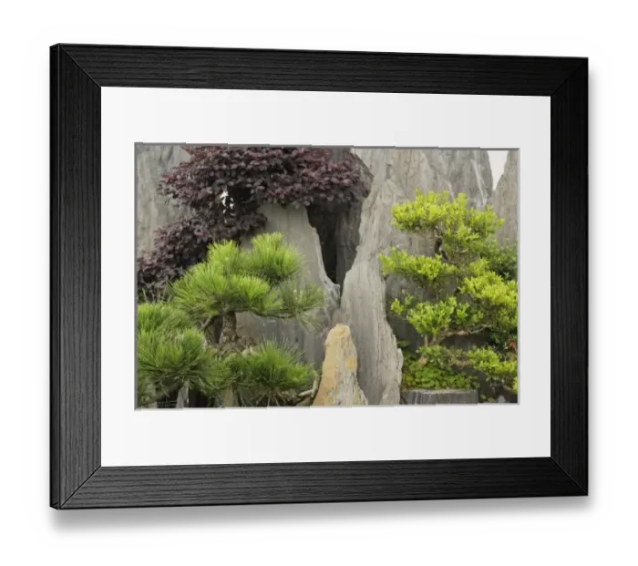 Framed Print : Baos family garden Framed Print : Baos family garden
