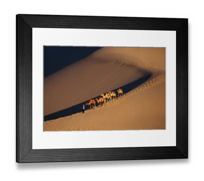 Framed Print : Camel caravan on the desert, Dunhuang, Gansu Province, Silk Road, China Framed Print : Camel caravan on the desert, Dunhuang, Gansu Province, Silk Road, China