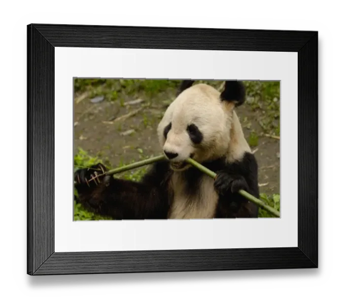 Framed Print : Asia, China Framed Print : Asia, China