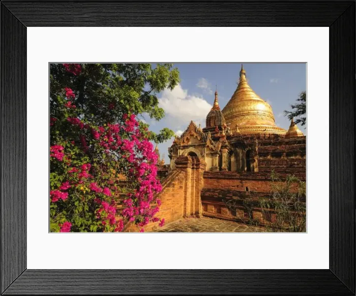 Framed Print : Dhamma Yazaka Pagoda at Bagan (Pagan), Myanmar (Burma)