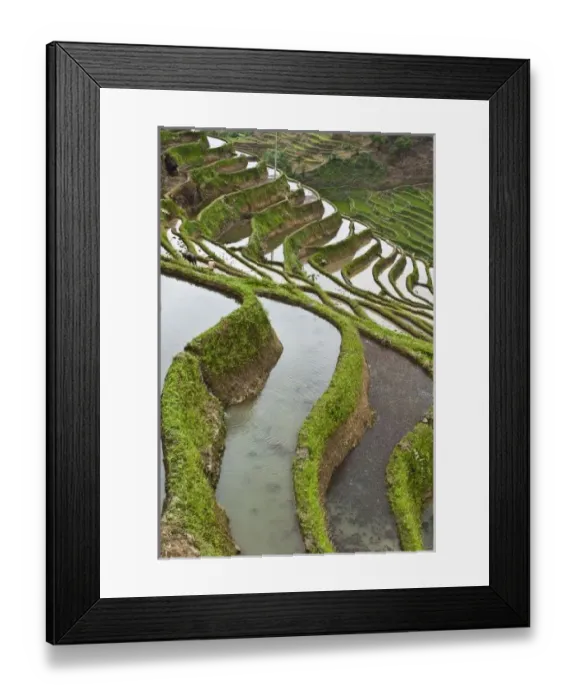 Framed Print : Asia, China