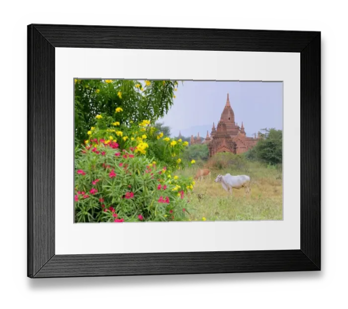 Framed Print : Asia, Myanmar (Burma) Framed Print : Asia, Myanmar (Burma)