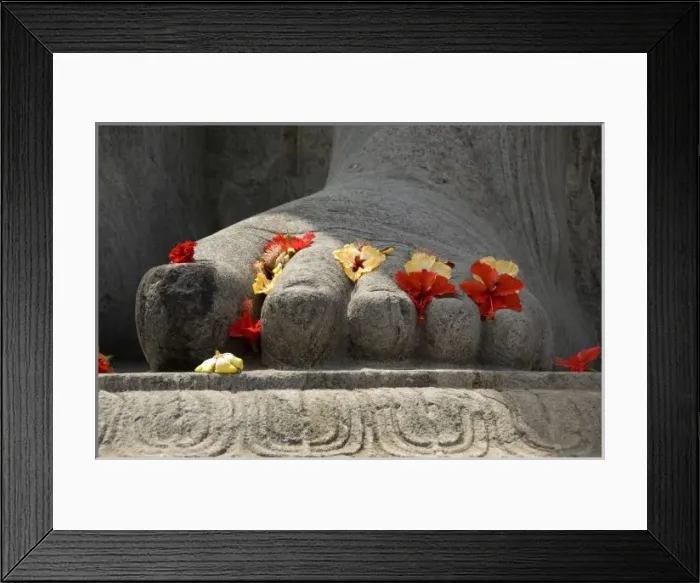 Framed Print : Asia, India Framed Print : Asia, India