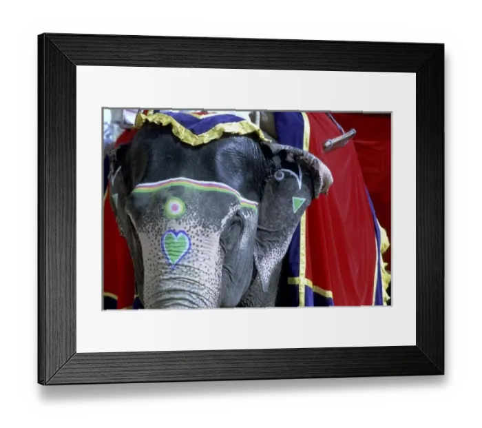 Framed Print : India, Rajasthan, Jaipur. Amber Fort Framed Print : India, Rajasthan, Jaipur. Amber Fort