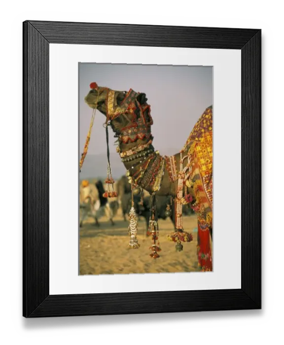 Framed Print : Asia, India Framed Print : Asia, India
