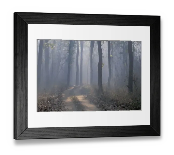 Framed Print : Asia, India, Kanha NP. Landscape Framed Print : Asia, India, Kanha NP. Landscape