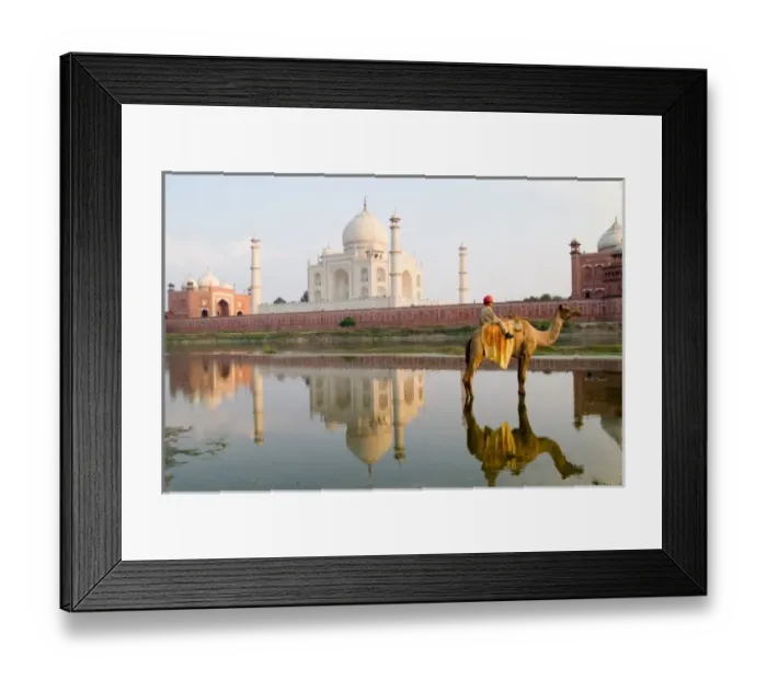 Framed Print : World famous Taj Mahal temple burial site at sunset with young boy on camel Framed Print : World famous Taj Mahal temple burial site at sunset with young boy on camel