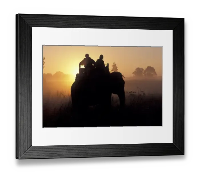 Framed Print : Asia, India, Kanha Framed Print : Asia, India, Kanha