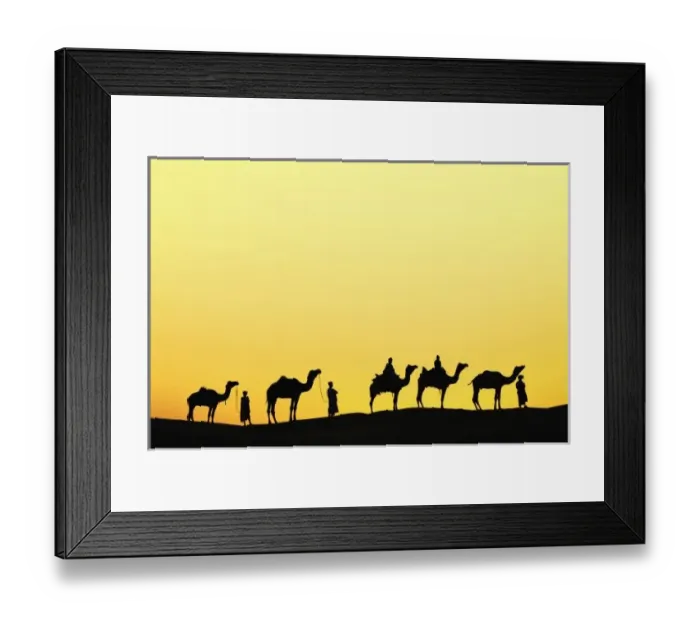 Framed Print : Camels and camel driver silhouetted at sunset, Thar Desert, Udaipur, India Framed Print : Camels and camel driver silhouetted at sunset, Thar Desert, Udaipur, India
