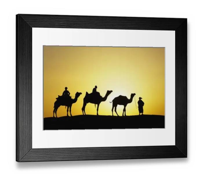 Framed Print : Camels and camel driver silhouetted at sunset, Thar Desert, Udaipur, India Framed Print : Camels and camel driver silhouetted at sunset, Thar Desert, Udaipur, India