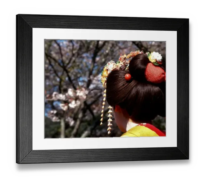 Framed Print : Japan, Kyoto. Rear view close-up of geishas head on Philosophers Path. Credit as