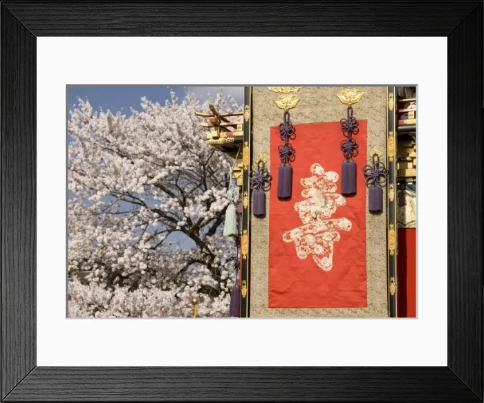 Framed Print : Cherry blossom tree and silk tapestry of elaborate festival float (yatai) in Gonjunko Framed Print : Cherry blossom tree and silk tapestry of elaborate festival float (yatai) in Gonjunko