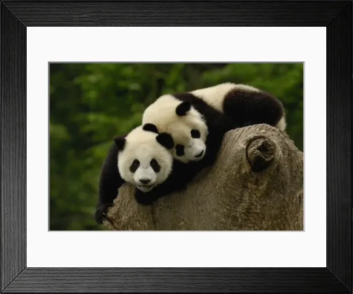 Framed Print : Asia, China