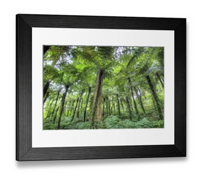Framed Print : View of vegetation in Bali Botanical Gardens, Bali, Indonesia. Credit as: Jones-Shimlock Framed Print : View of vegetation in Bali Botanical Gardens, Bali, Indonesia. Credit as: Jones-Shimlock