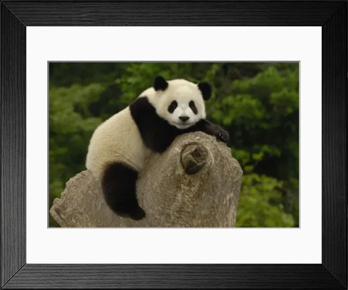 Framed Print : Asia, China Framed Print : Asia, China