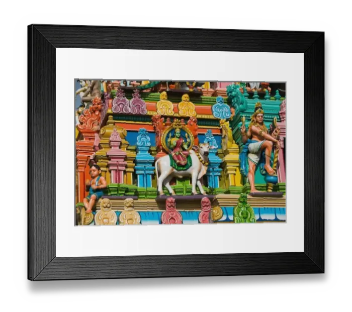 Framed Print : INDIA, Tamil Nadu