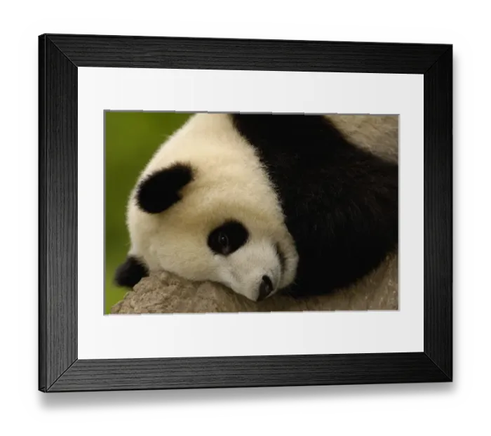 Framed Print : Asia, China Framed Print : Asia, China