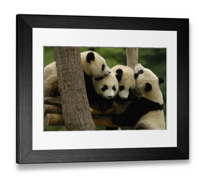 Framed Print : Asia, China Framed Print : Asia, China