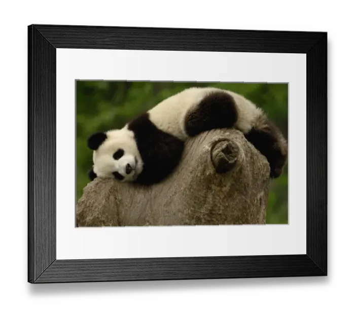 Framed Print : Asia, China Framed Print : Asia, China