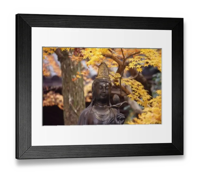 Framed Print : Asia, Japan, Buddha