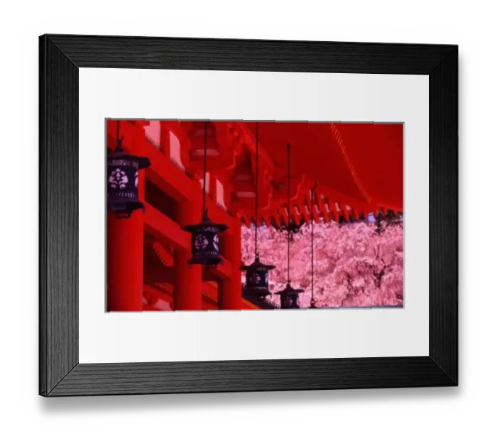 Framed Print : Asia, Japan, Kyoto, Heian shrine in spring. Shinto