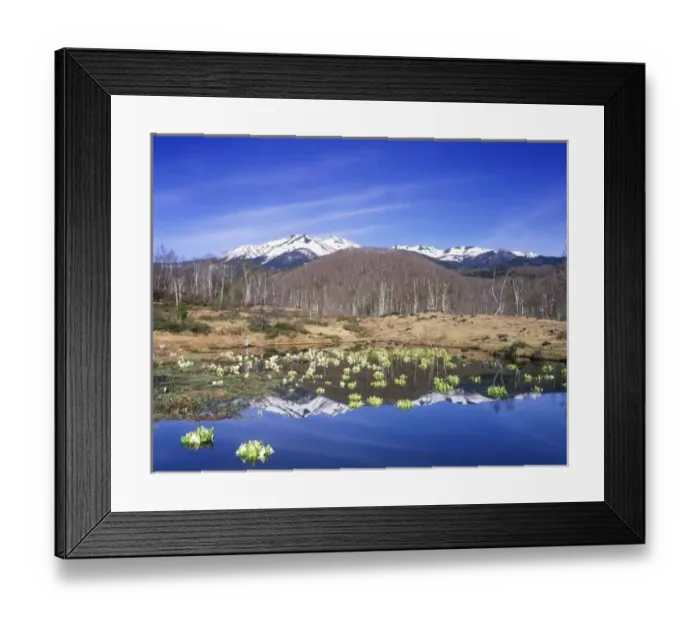 Framed Print : Japan, Nagano, Norikura, Mt. Norikura & Mizubasho (Not Available for European Clients)